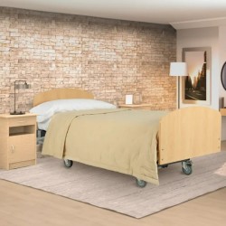 Cama Eléctrica Articulada con Carro Elevador NULES PLUS