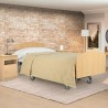 Cama Eléctrica Articulada con Carro Elevador NULES PLUS