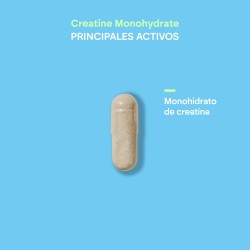 Creatina Monohidratada Elements